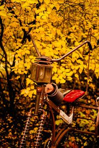 Vintage‑Fahrrad im Herbst – rostige Laternenlampe & Federn | Wandkunst in goldenen Blättern