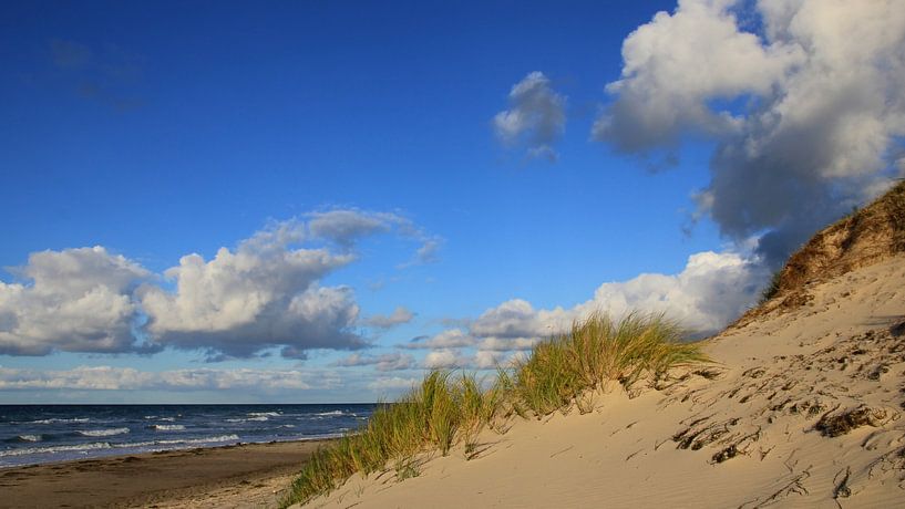 Oktoberdünen par Ostsee Bilder