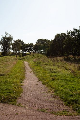 Ontdek de natuur in een bosrijk gebied in Emsland, Nedersaksen, Duitsland