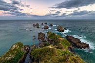 Nugget Point in New Zealand by Michael Bollen thumbnail