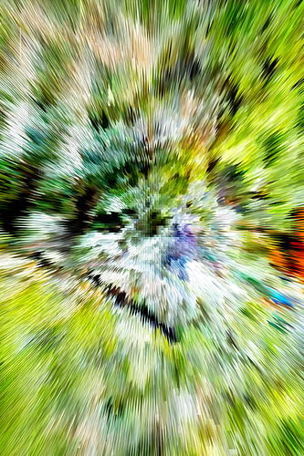 image numérique