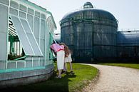 greenhouses visitors by Sander de Wilde Photographic thumbnail