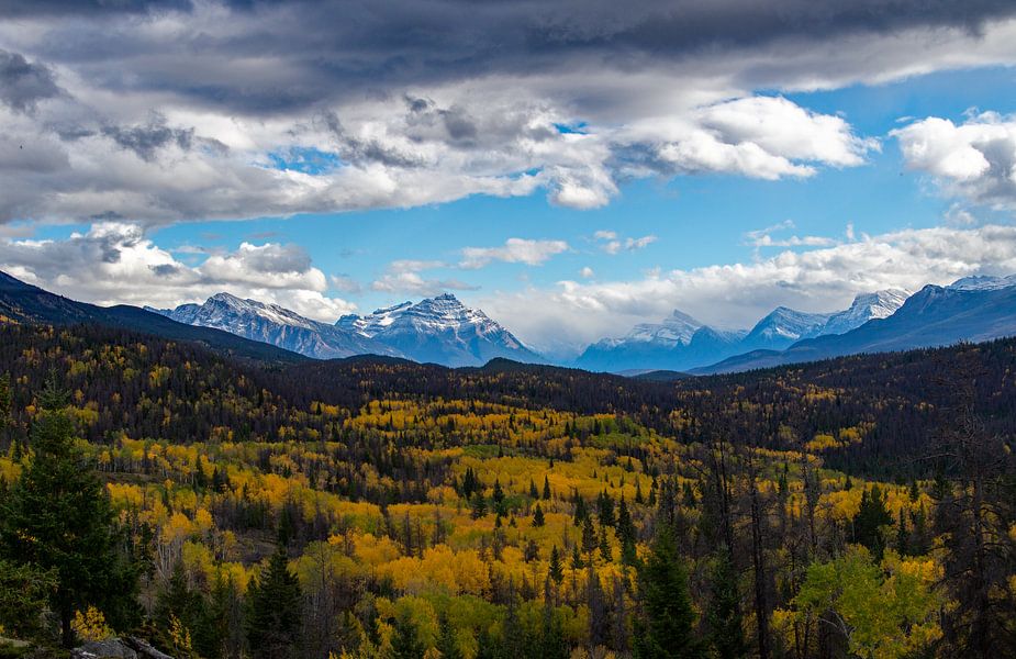 Herfst bij Old Fort Point in Jasper National Park, Canada