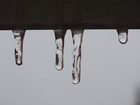 Icicle
