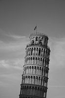 Tower of Pisa in black and white