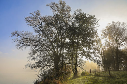 Zon en mist op een oktoberochtend bij de Schwackenreuter Seen - Mühlingen