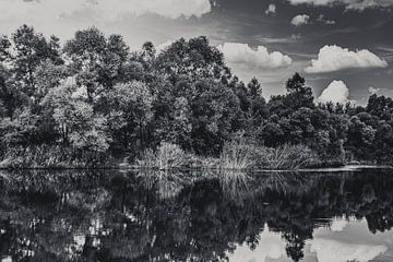Black and white landscape photography