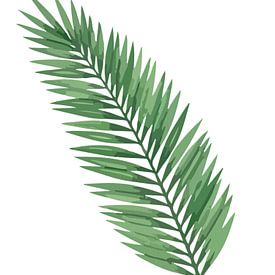 Flora der Ruhe: Palmblatt im Weiß von AidasignArt