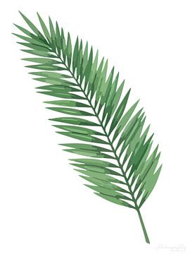 Flora van rust: palmblad in wit
