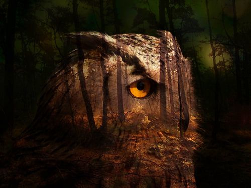 Uil één met de natuur