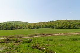 steppe von Robert Lotman