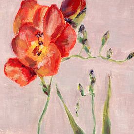 Freesia flower oil painting in red, yellow, orange and green on pink by Dina Dankers