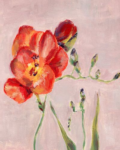 Freesia bloem olieverfschilderij in rood, geel, oranje en groen op roze