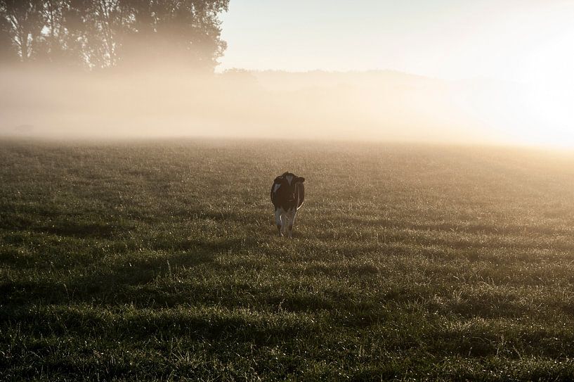 Koe in de mist #2 van Norbert Sülzner