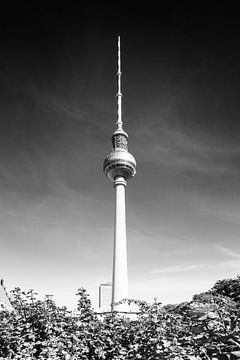 BERLIN Fernsehturm | Monochrom von Melanie Viola