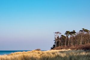 Strand an der Ostseeküste bei Graal Müritz