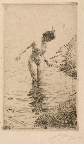 Anders Zorn - Cirkels van water II (1907) van Peter Balan
