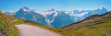 uitzicht vanaf wandelpad Grindelwald Eerst naar mooie bernese van SusaZoom