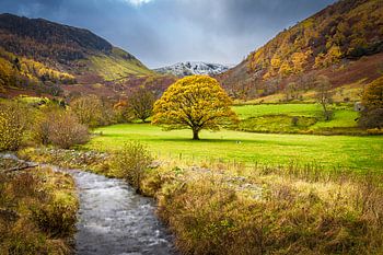 Autumn in the Lake district, Great Britain