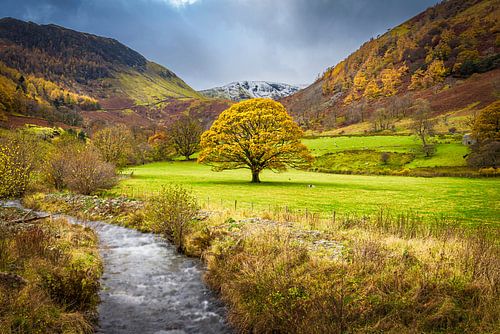 Herfst in het Lake district, Groot Brittannië