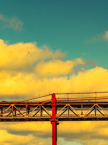 I wonder if it feels like flying