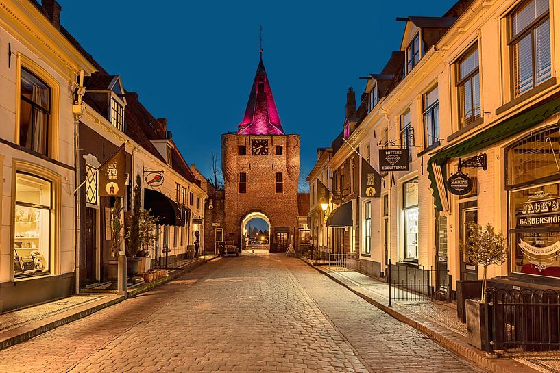 Soirée à Elburg, Pays-Bas par Adelheid Smitt