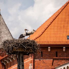 ooievaars op hun nest bij een kasteel in polen van Eric van Nieuwland