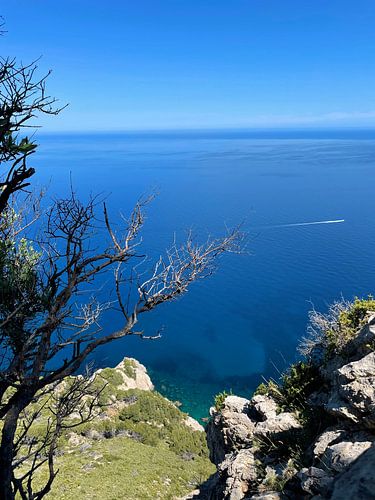 Mallorca - Landschap