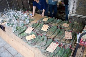 Insektenverkauf auf dem Vogelmarkt in Hongkong