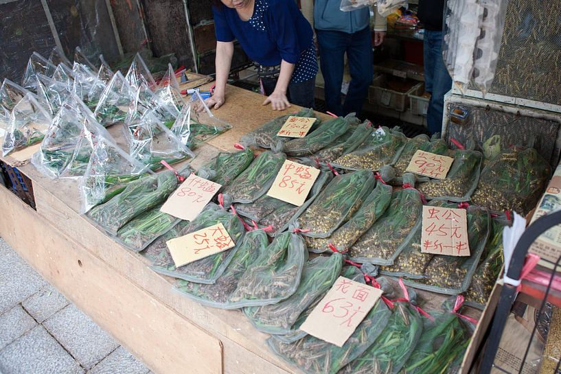 Insect sale at Hong Kong bird market by t.ART