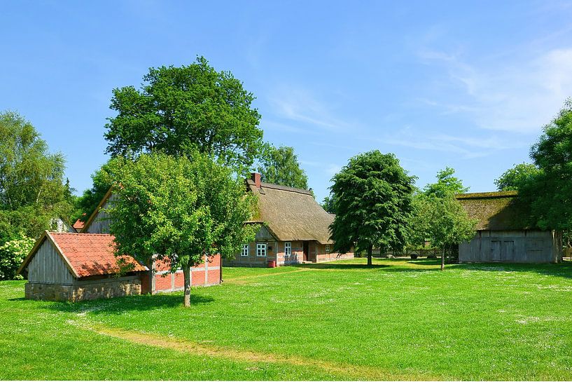Dat Brinkhus in Hodenhagen par Gisela Scheffbuch