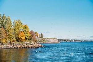 Zwanen Aan Suomenlinna van Patrycja Polechonska