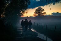 Avondwandeling in de mist