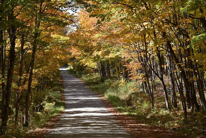 A country road in autumn by Claude Laprise