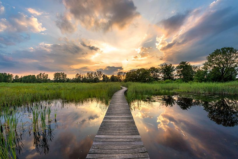 Beekbergerwoud von Frederik van der Veer