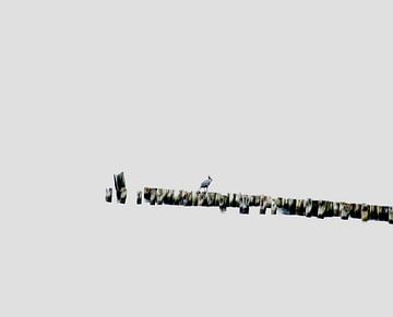 Vogel op palen abstract