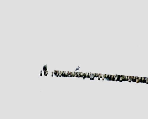 Bird on stilts abstract