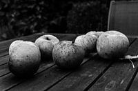 Appels in de kou