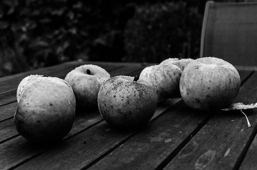 Les pommes dans le froid par Eline Willekens