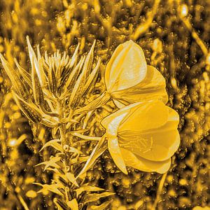 Digital Art Medium Flowers Gold