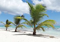Caribbean island 