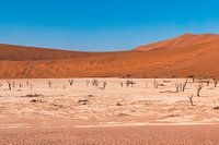 Dodevlei_1, Sesriem Namibia