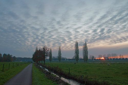 in de wolken op de landweg