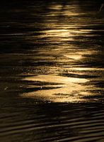 Goldene Abendsonne