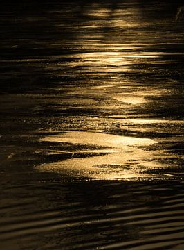 Goldene Abendsonne