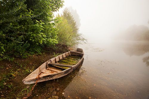 Mistige ochtend lands de Dordogne