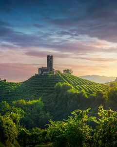 Kirche San Lorenzo und Weinberge auf den Unesco Prosecco Hügeln, Italien