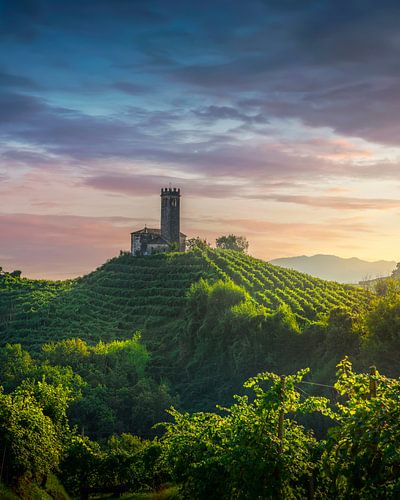 San Lorenzo kerk en wijngaarden op de Unesco Prosecco heuvels, Italië