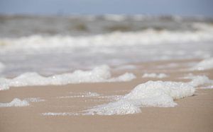 Schuim op het Strand - Egmond aan Zee