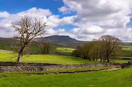 Vue sur Pen-Y-Ghent, Yorkshire Dales, Angleterre sur Adelheid Smitt